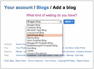 Choose Your Blog